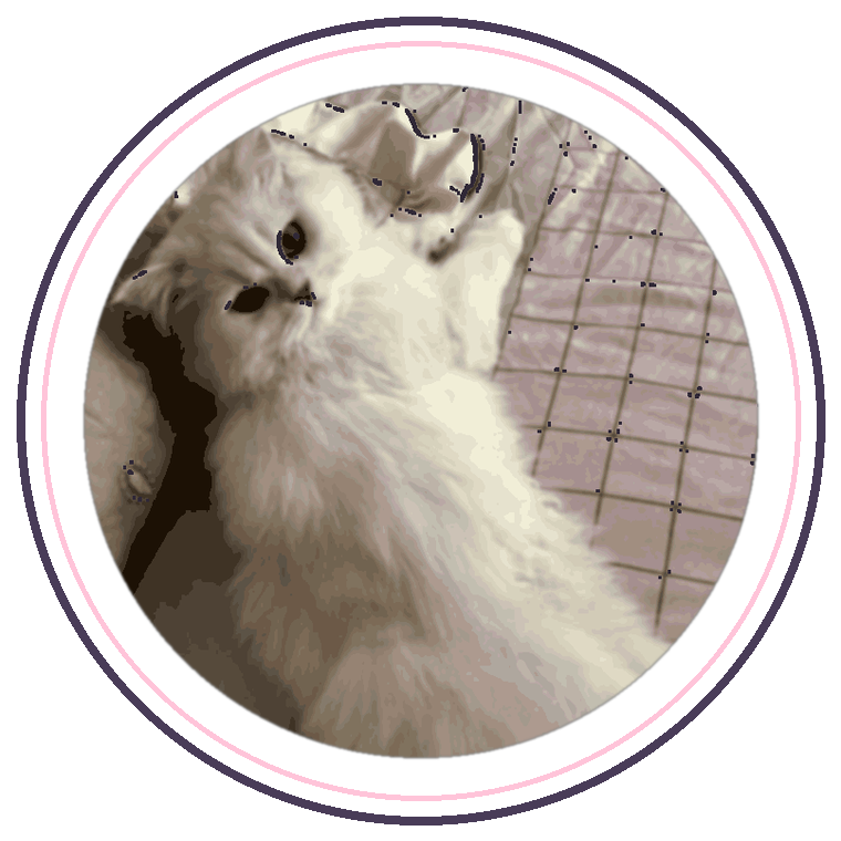 小奇 Q版猫猫